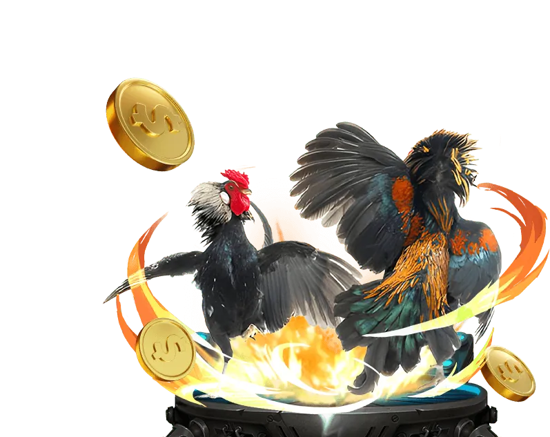 Trải nghiệm đá gà trực tuyến tại f168ae